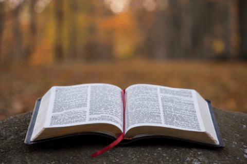 Aplicativos Para Ler a Bíblia