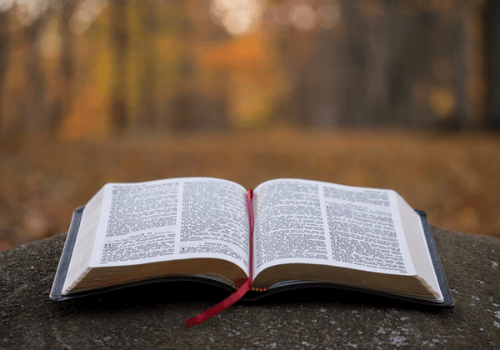Aplicativos Para Ler a Bíblia